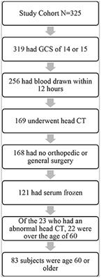 Examining four blood biomarkers for the detection of acute intracranial abnormalities following mild traumatic brain injury in older adults